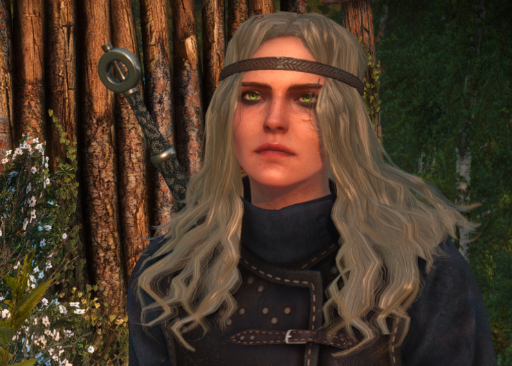 《巫师3：狂猎》希里长发MOD