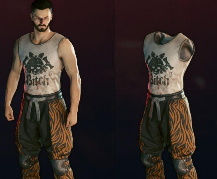 《赛博朋克2077》隐形角色MOD