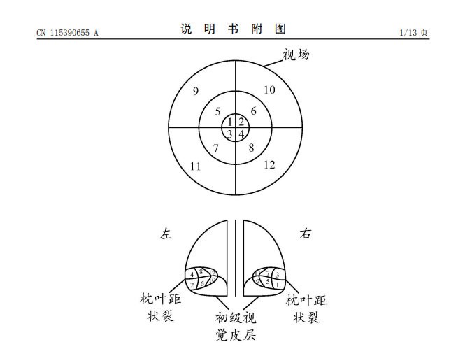 华为公开一脑机接口领域专利 无需直视即可下发不同操作命令