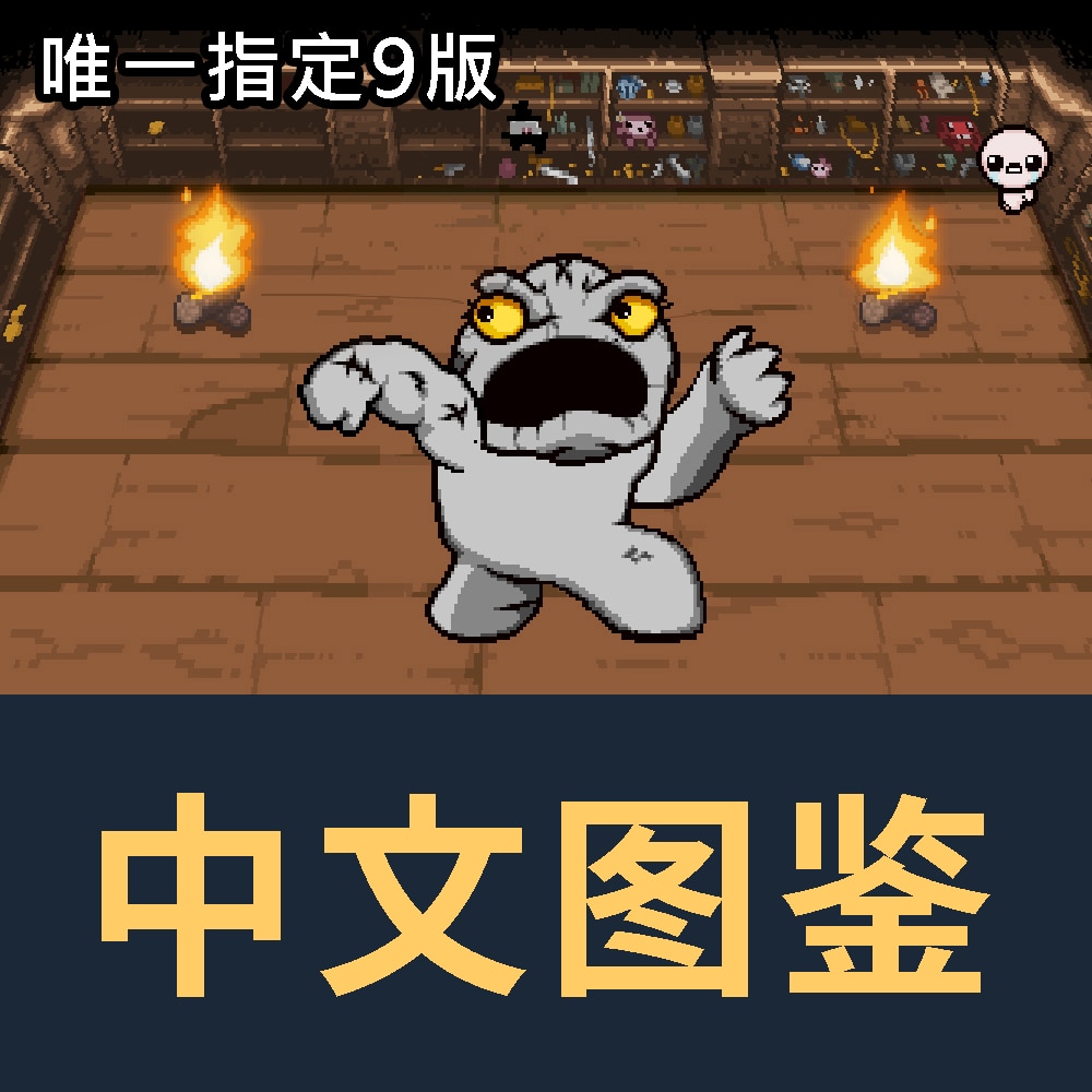 《以撒的结合：重生》中文道具图鉴MOD[meskitoki][1969]