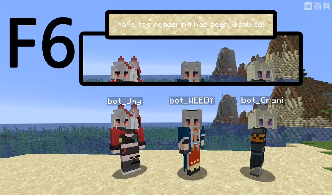 《我的世界》v1.19.3隐藏名称标签MOD