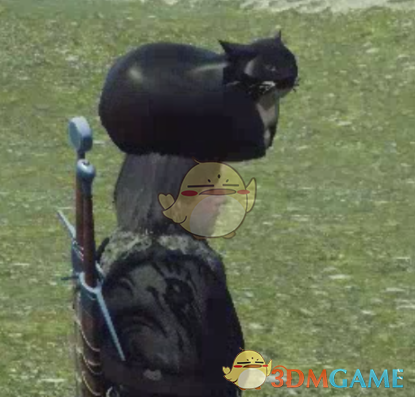 《巫师3：狂猎》把猫顶在头上MOD