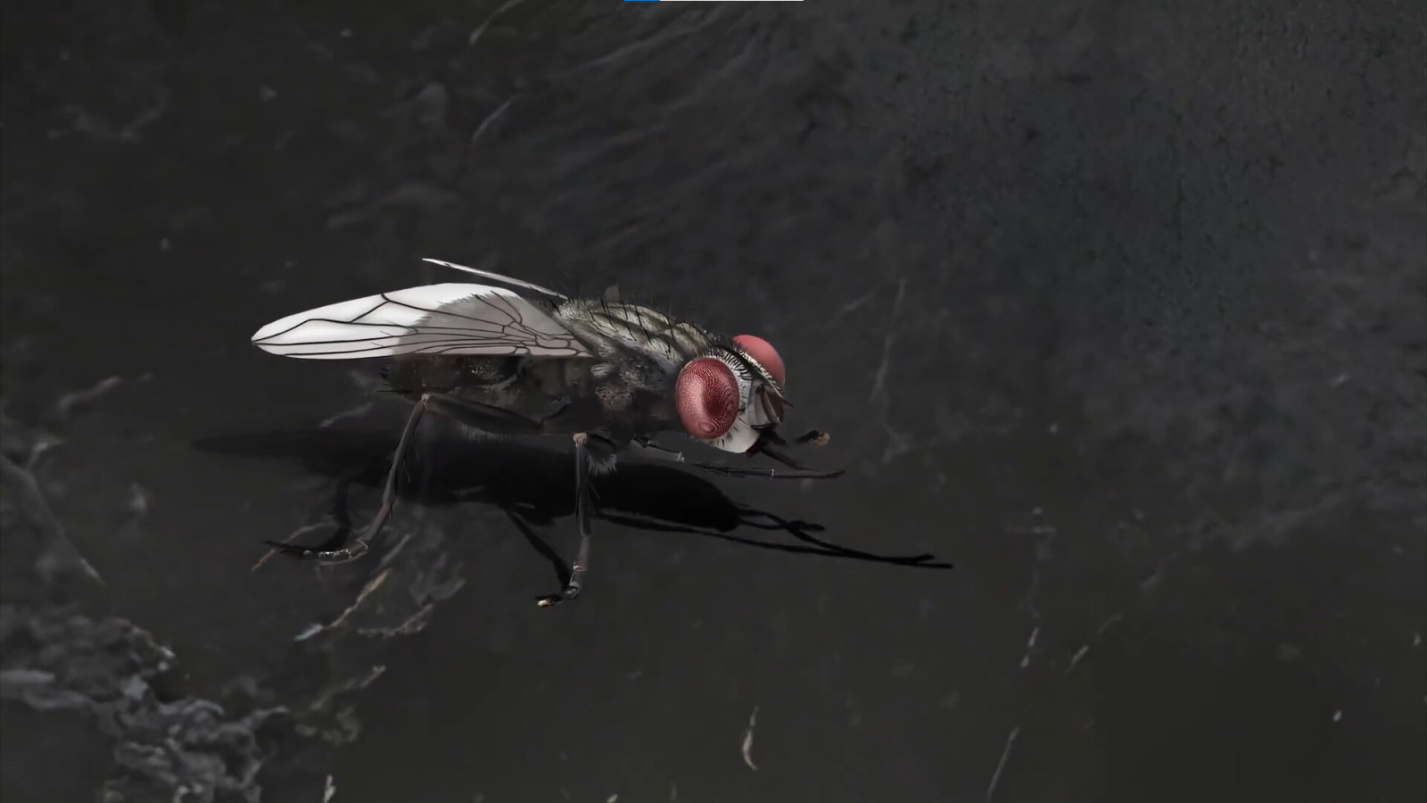 《残秽的我们2：普渡慈航》4月7日发售 试玩Demo已上线