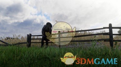 《荒野大镖客2》深色无名者斗篷MOD