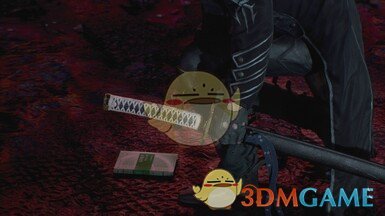 《鬼泣5》高等数学替换V的书MOD