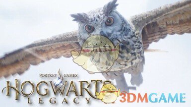 《霍格沃茨之遗》海德薇主题开始画面MOD