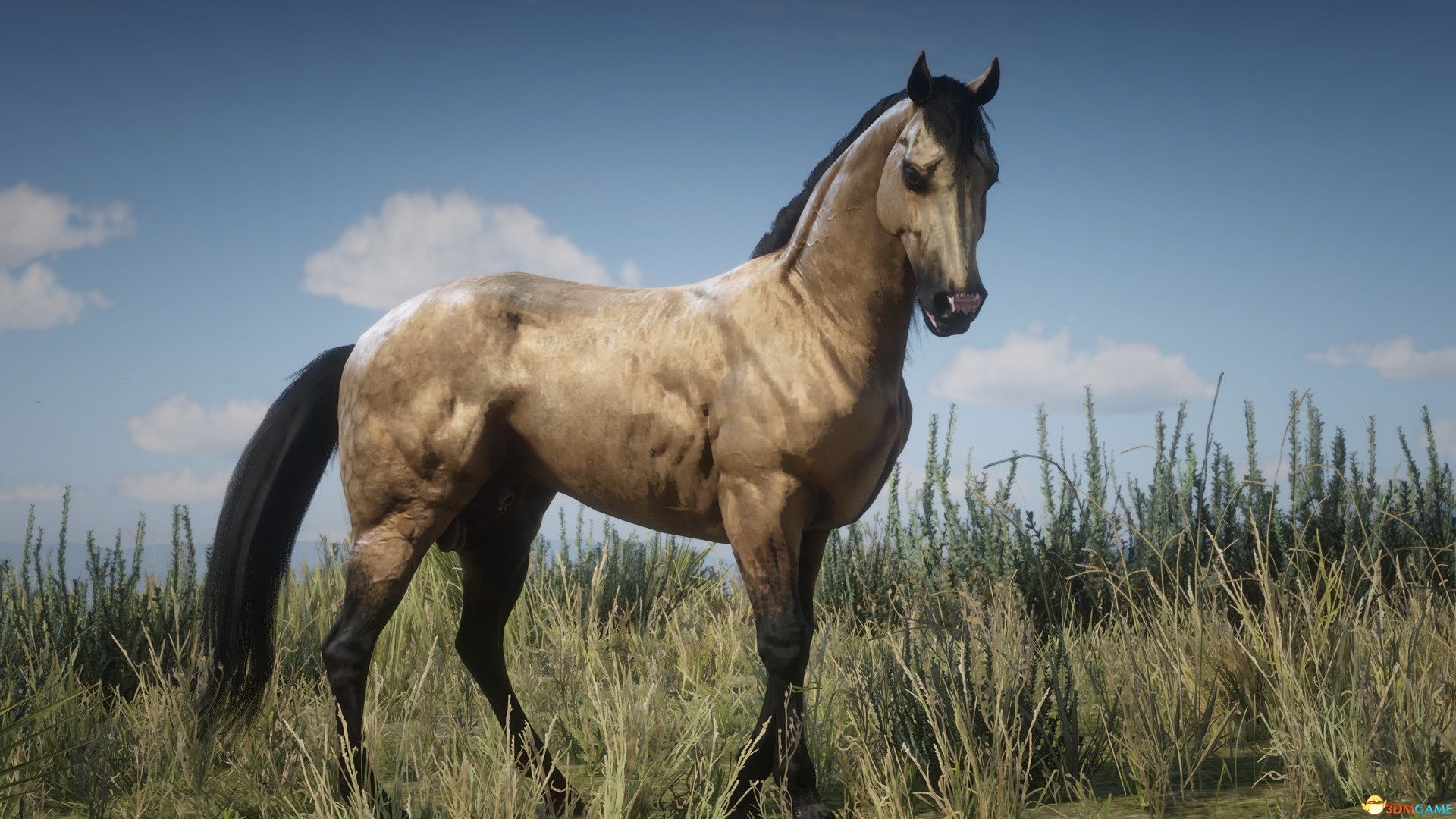 《荒野大镖客2》Paso Fino帕索菲诺马MOD