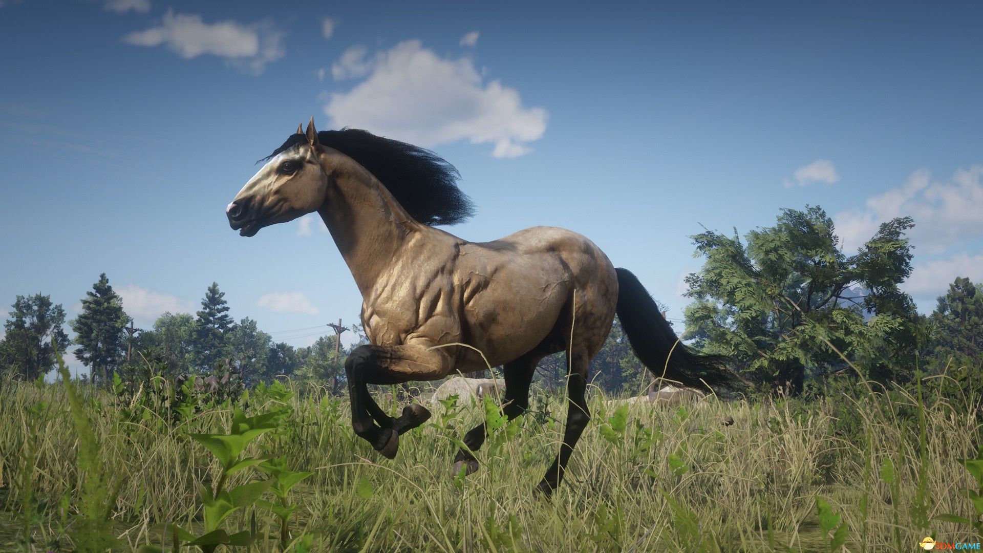 《荒野大镖客2》Paso Fino帕索菲诺马MOD