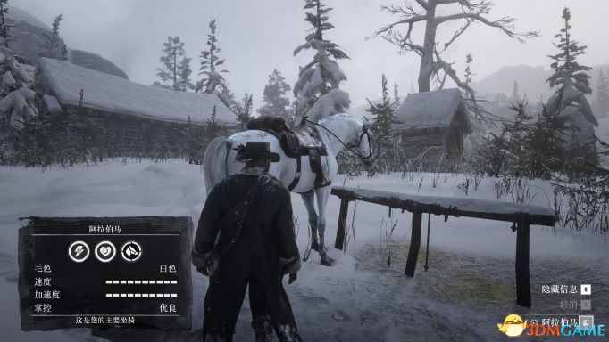 《荒野大镖客2》全网最初始的最全完美存档