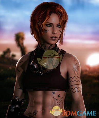 《赛博朋克2077》KS Solo Body健美型身体MOD