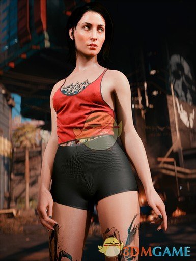 《赛博朋克2077》Yaahl Tech背心MOD