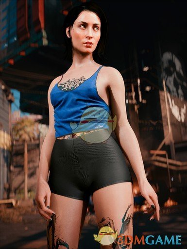 《赛博朋克2077》Yaahl Tech背心MOD