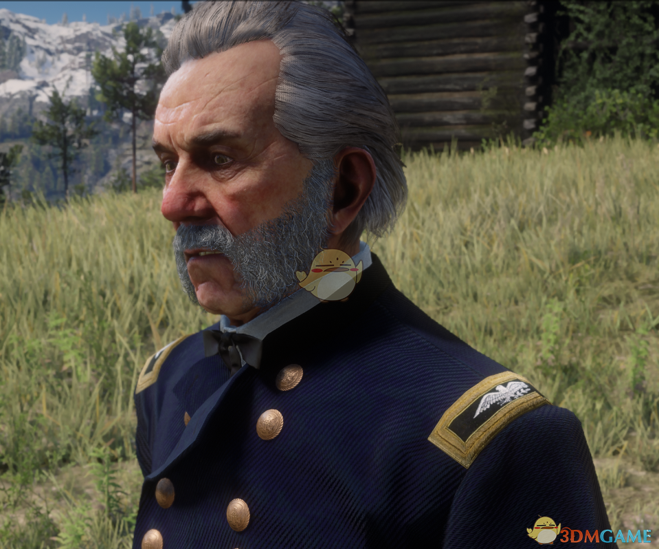 《荒野大镖客2》上校军衔肩章修正MOD