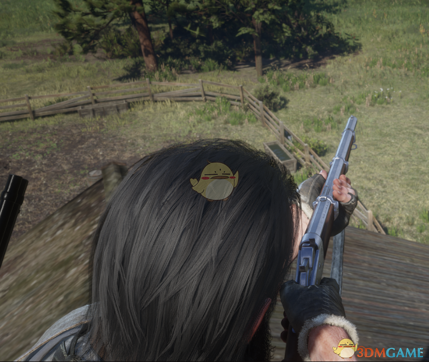 《荒野大镖客2》滚动式闭锁步枪模型修改MOD