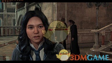 《霍格沃茨之遗》UHG重新遮蔽MOD