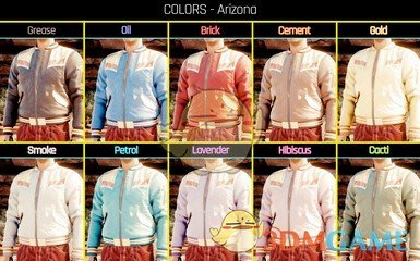 《赛博朋克2077》The RVC00N Dumpster-Stinky飞行员夹克MOD