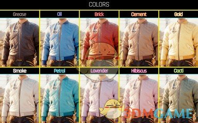 《赛博朋克2077》The RVC00N Dumpster-Stinky飞行员夹克MOD