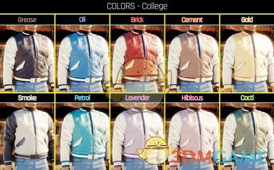 《赛博朋克2077》The RVC00N Dumpster-Stinky飞行员夹克MOD