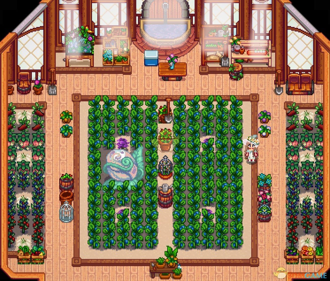 《星露谷物语》Himetarts and Wildflour的温室家具MOD