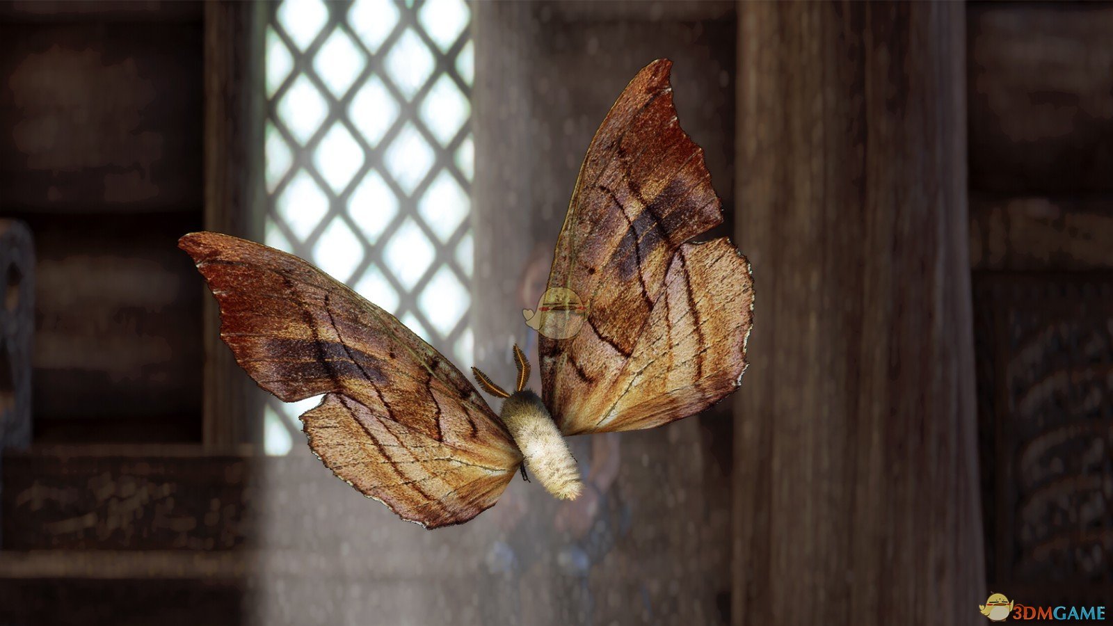 《上古卷轴5：天际重制版》毛茸茸的飞蛾MOD