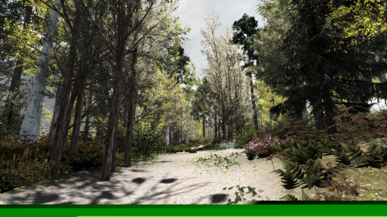 《上古卷轴5：天际重制版》伊杜纳的树木MOD