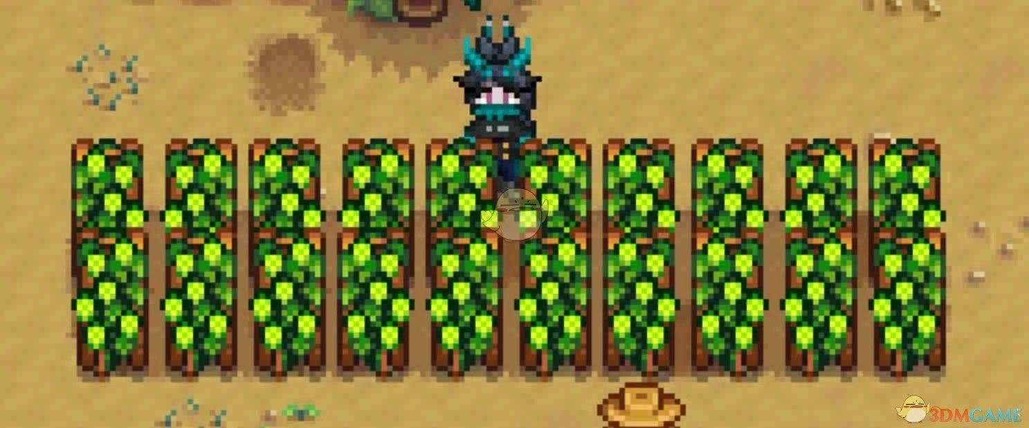 《星露谷物语》更瘦的啤酒花MOD