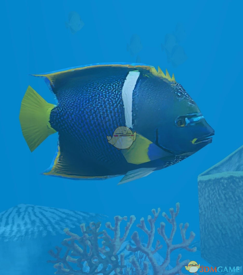 《动物园大亨2》雀点刺蝶鱼MOD