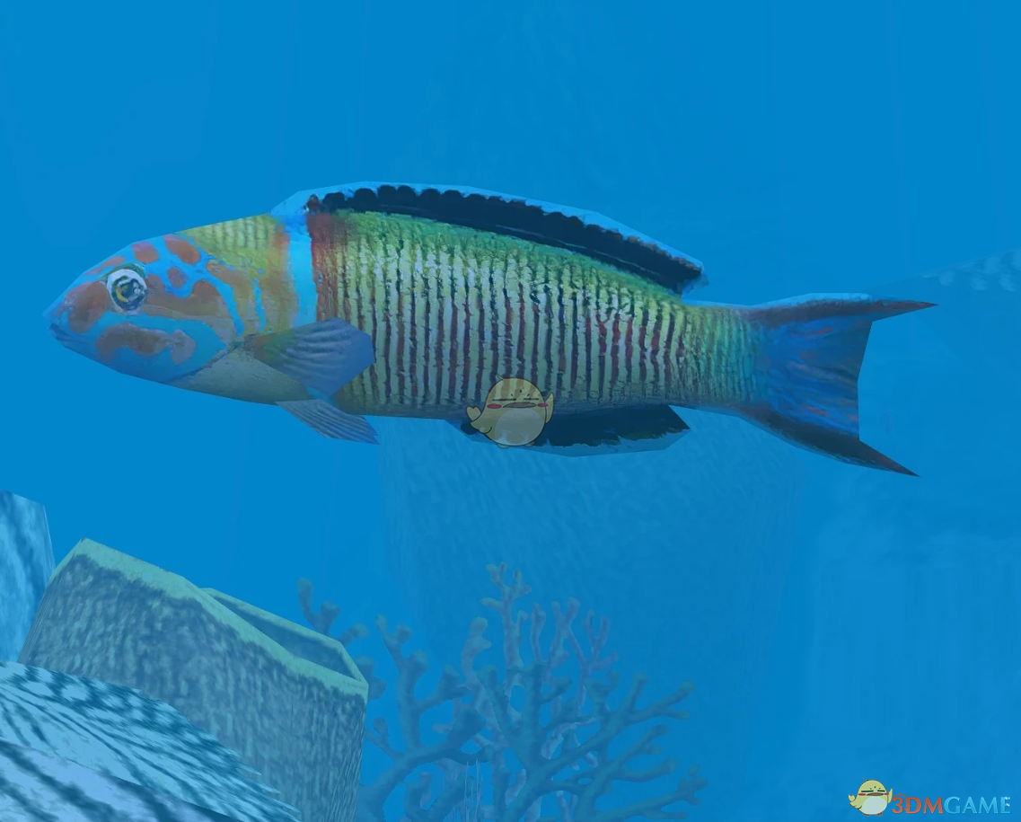 《动物园大亨2》孔雀锦鱼MOD