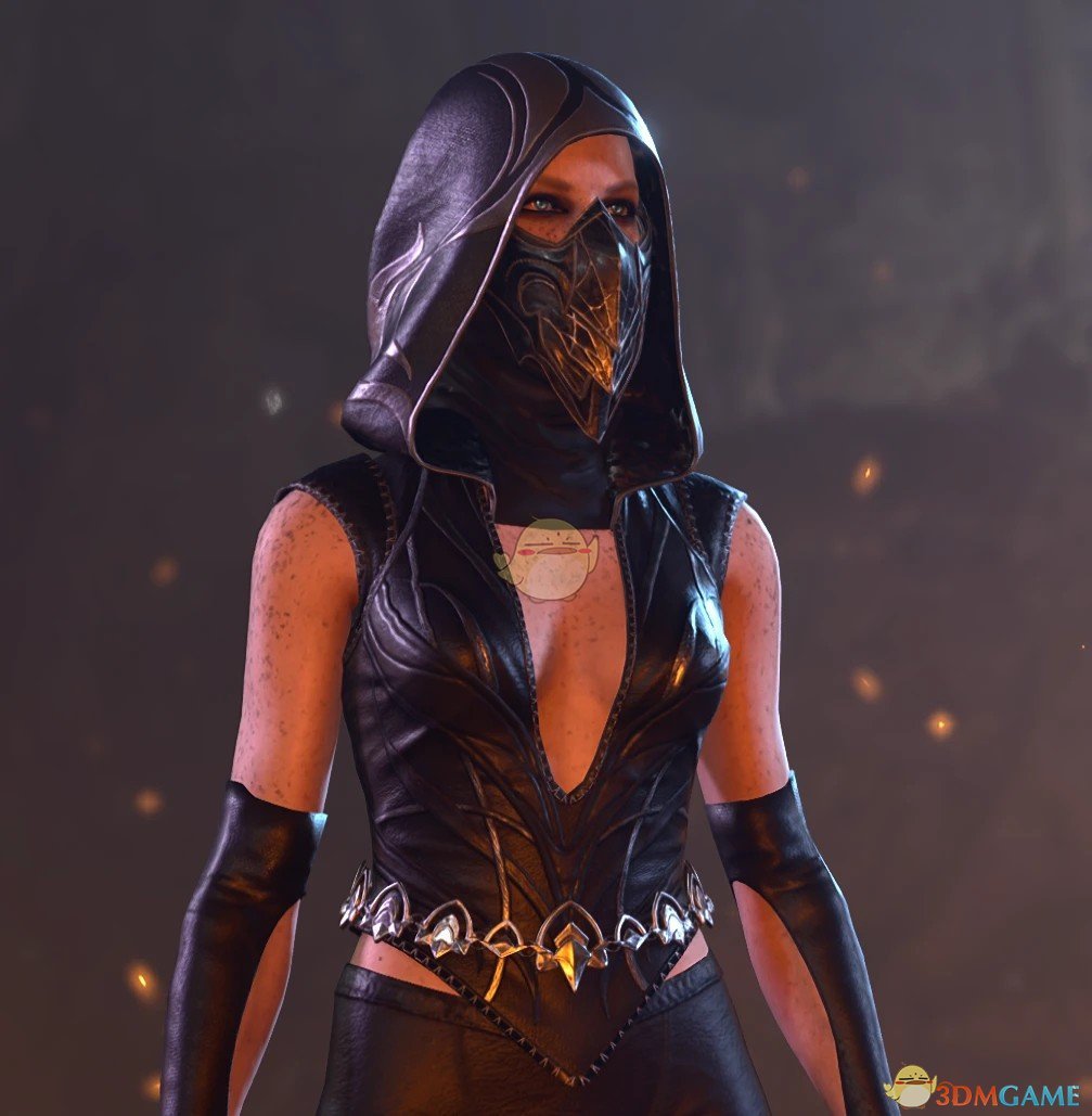 《博德之门3》刺客装备MOD