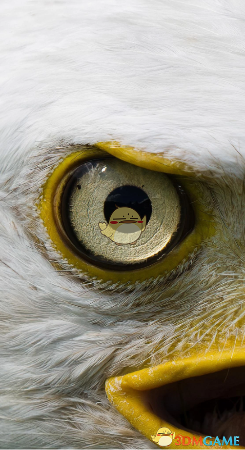 《荒野大镖客2》鹰眼不再慢动作MOD