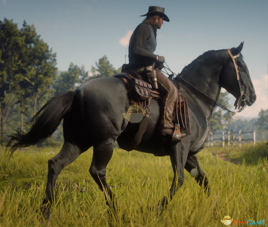 《荒野大镖客2》黑色的佩尔什马MOD