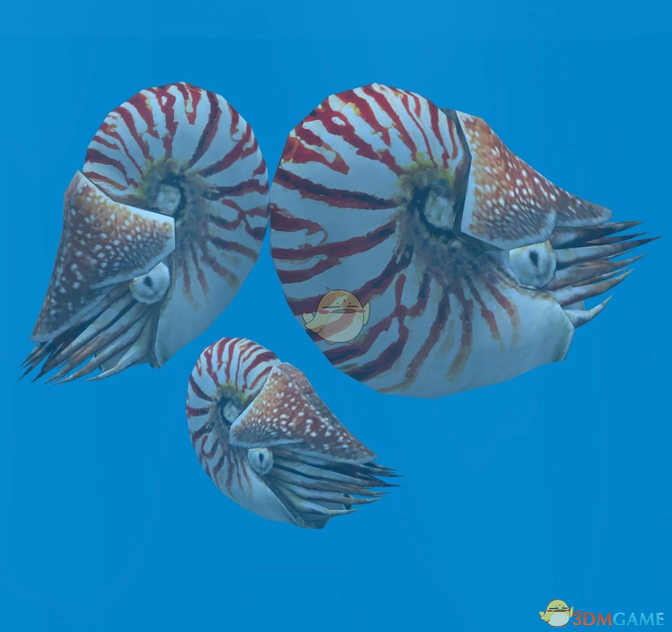 《动物园大亨2》珍珠鹦鹉螺MOD