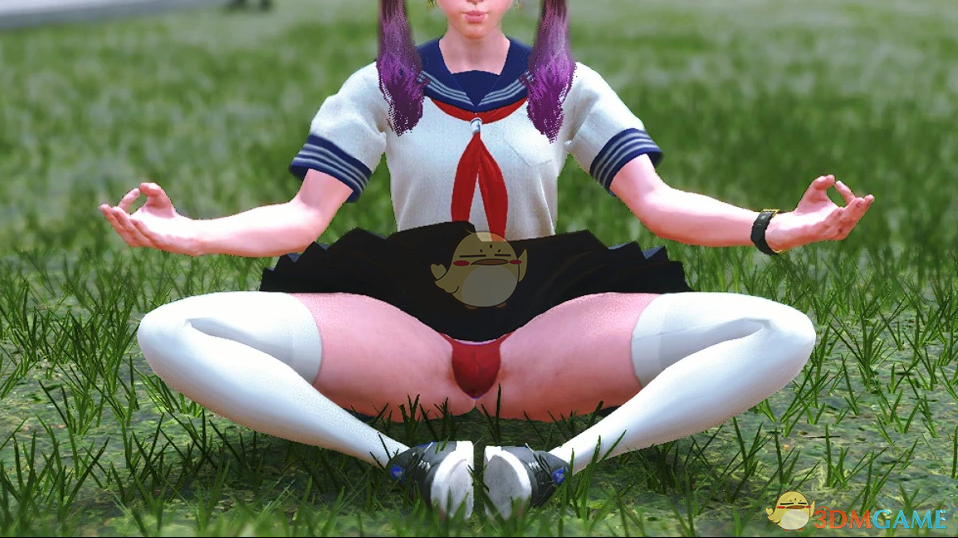 《街头霸王6》世界巡回赛较薄的三角内裤MOD