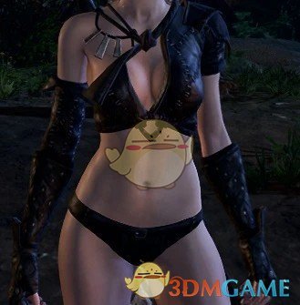 《博德之门3》野蛮人装备的变种MOD