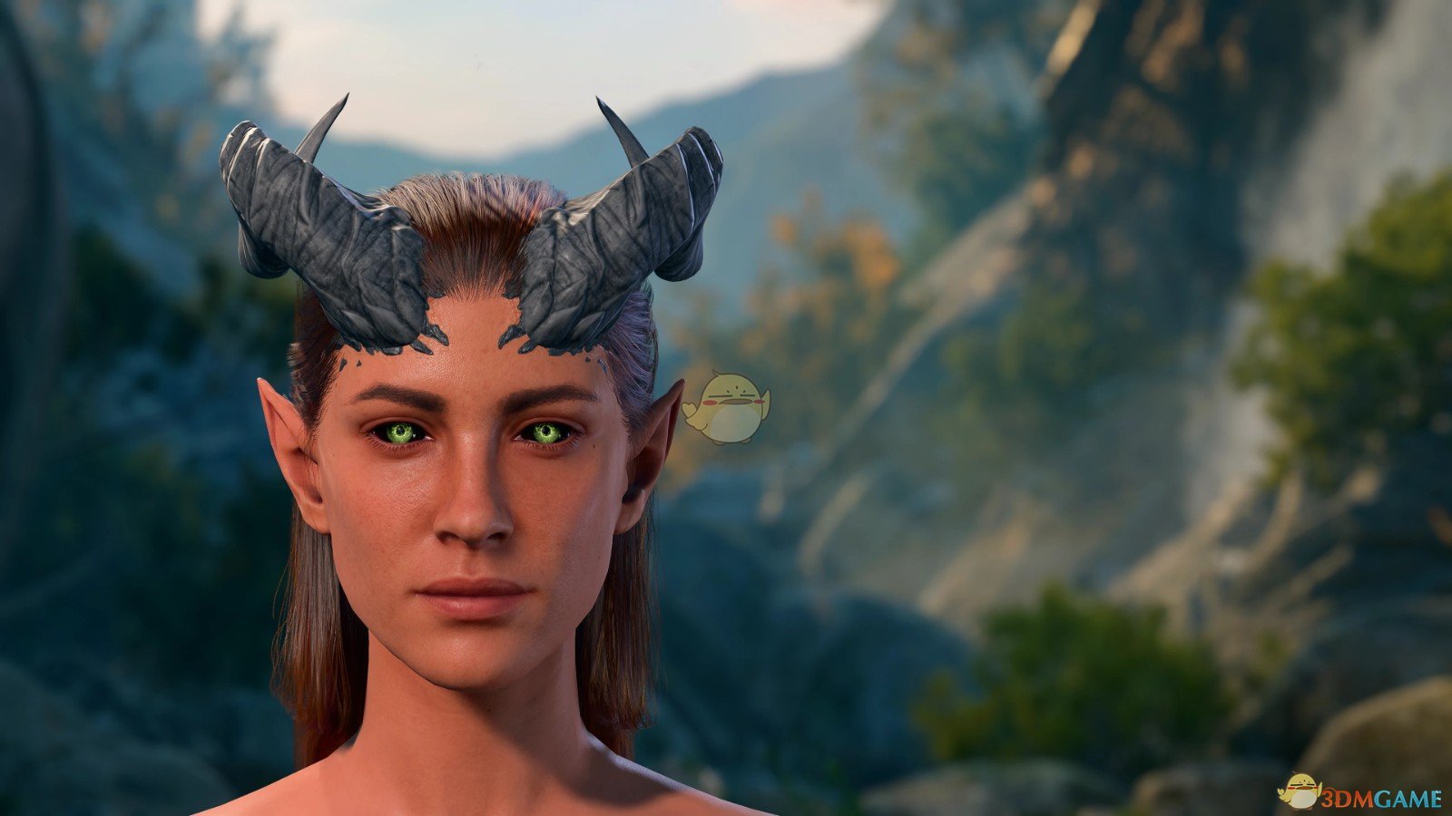 《博德之门3》各种各样的面孔和纹理MOD