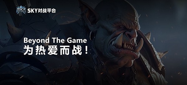 SKY对战平台1.1.0