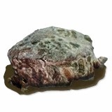 《七日杀》Barrett的烂肉工艺A21MOD