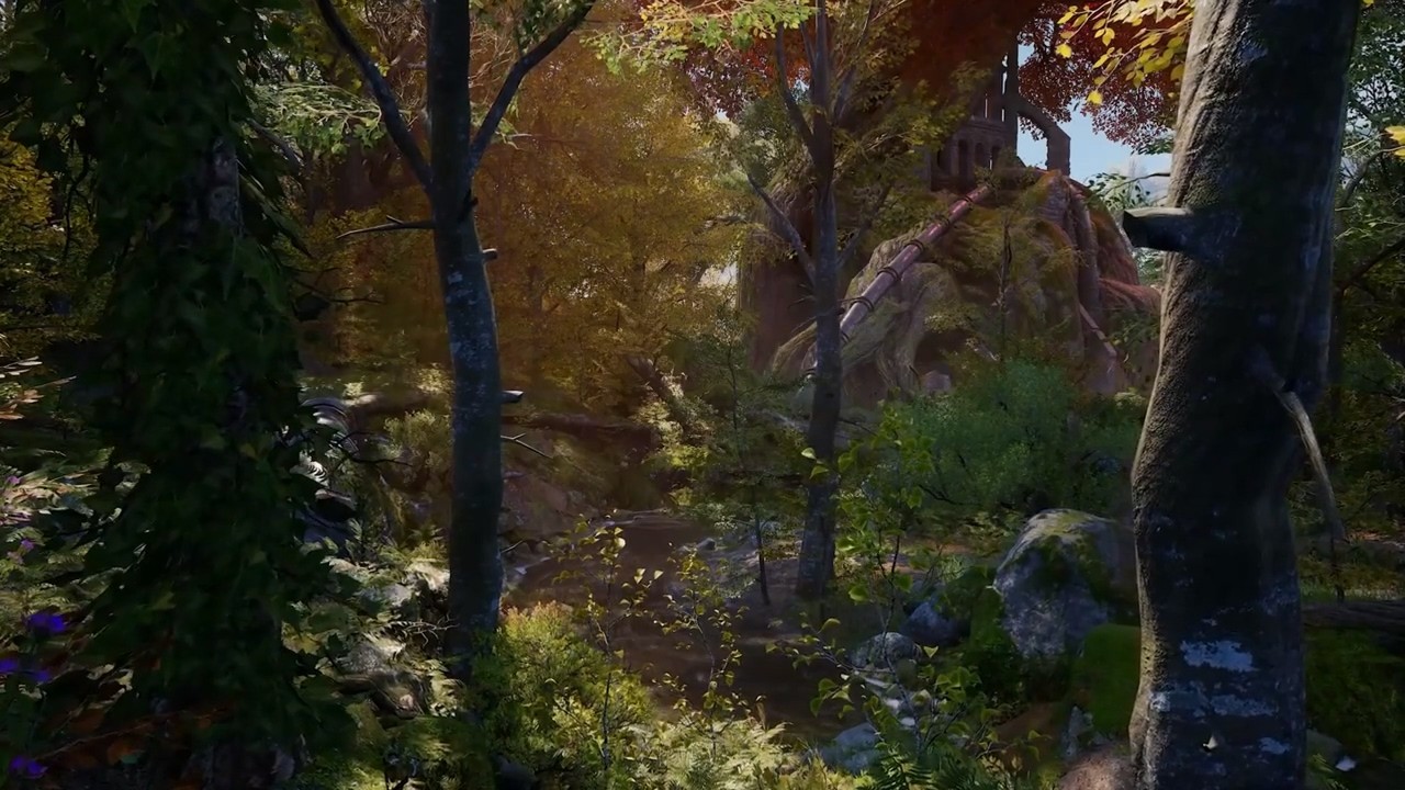 试玩体验中《舍伍德侠盗团》发布森林场景ASMR视频
