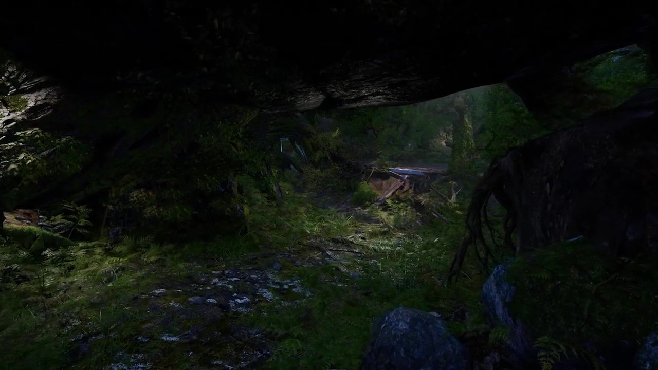 试玩体验中《舍伍德侠盗团》发布森林场景ASMR视频