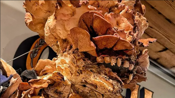 “真菌”感染 母女用面包制作《最后的生还者》循声者雕像
