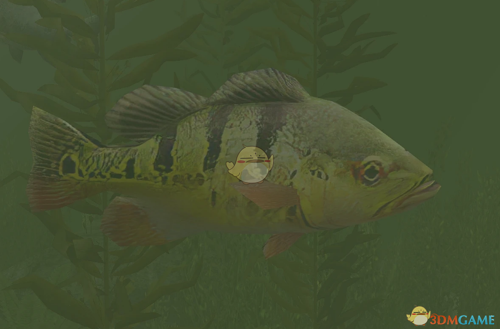 《动物园大亨2》蝴蝶孔雀鲈鱼MOD