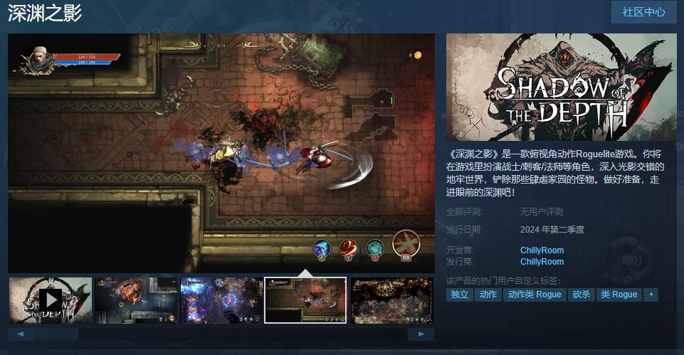 俯视角动作Roguelite游戏《深渊之影》Steam页面上线 支持简体中文