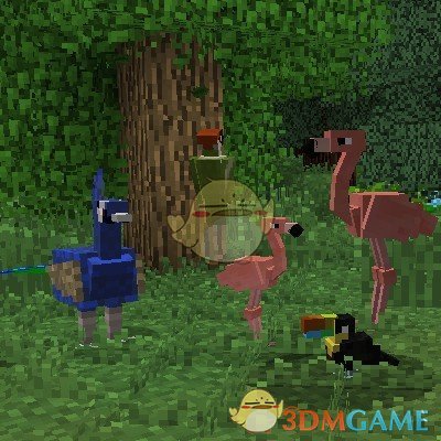 《我的世界》珍奇鸟类V1.18.2MOD