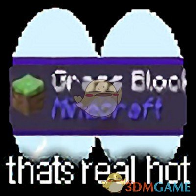 《我的世界》WTHITV1.20.2MOD