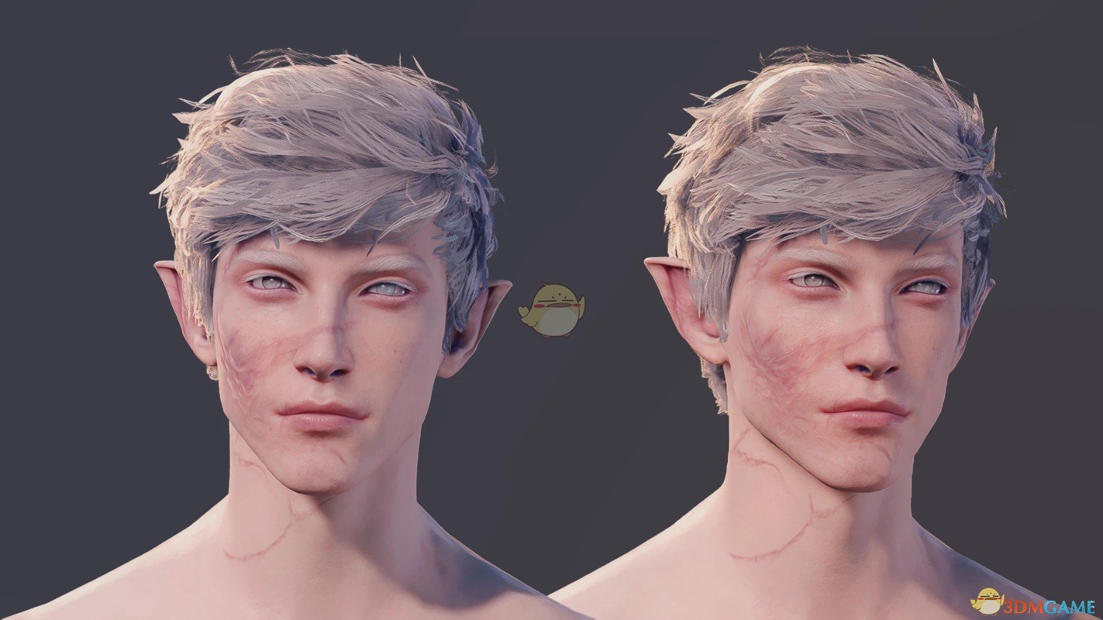 《博德之门3》埃尔戈斯的头像和伤疤MOD