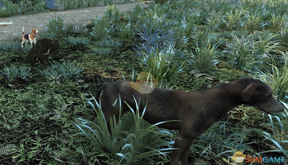 《七日杀》AOO的猫和狗A21MOD