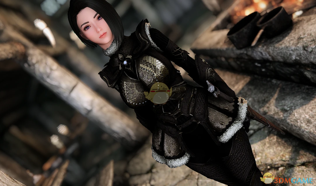 《上古卷轴5：天际重制版》火焰纹章三姐妹随从MOD