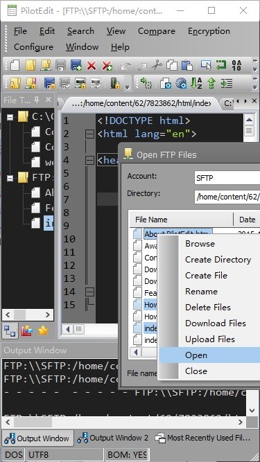 PilotEdit_Lite18.0.0