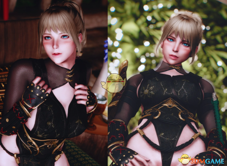 《上古卷轴5：天际重制版》浪人游侠服饰MOD