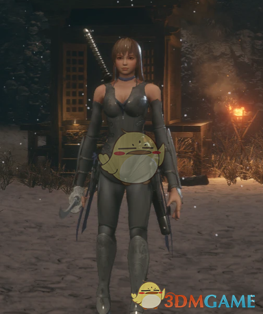 《只狼：影逝二度》死或生5霞替换狼MOD